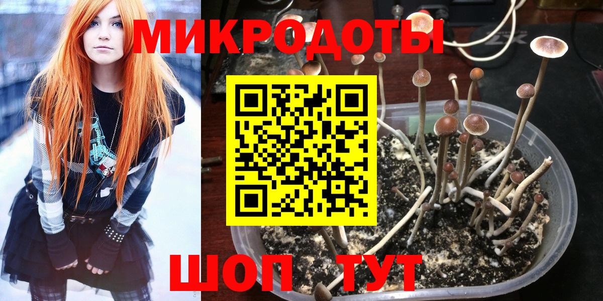 Псилоцибиновые грибы ЛСД Пенза