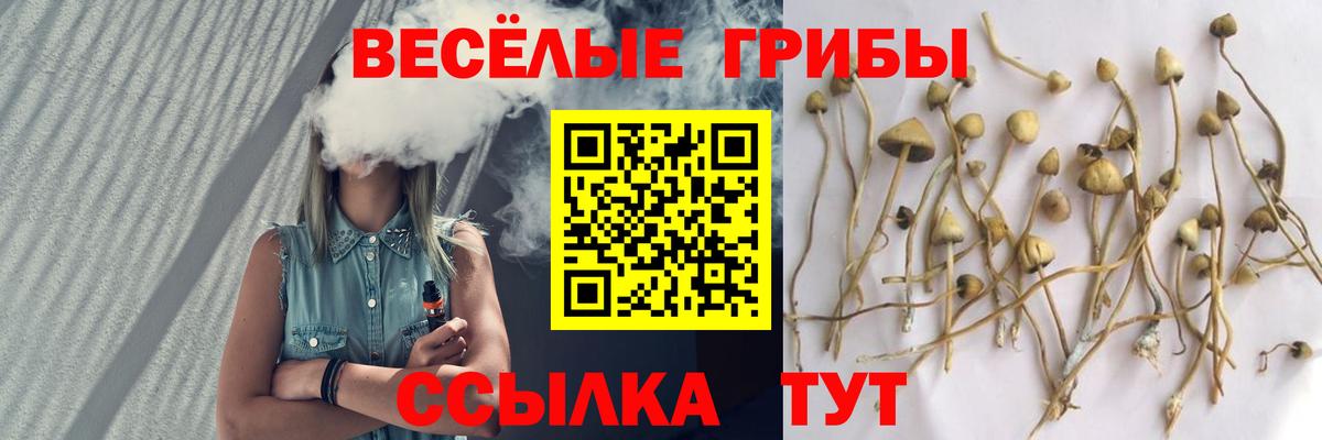 как найти наркотики  Галлюциногенные грибы Cubensis  Вход с VPN  Пенза 